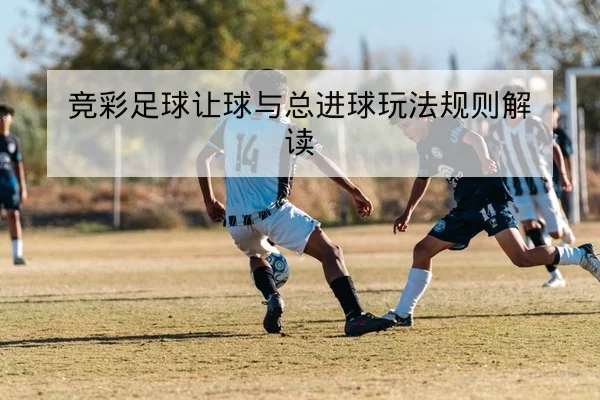 CBA球队首发名单与轮换分钟数历史对比