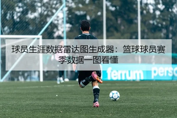 球员生涯数据雷达图生成器：篮球球员赛季数据一图看懂